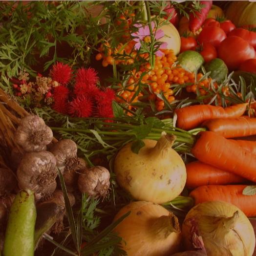 Join Indian Agriculture 🌱🌴🎋🍄 Whatsapp Group Link | Groupsor