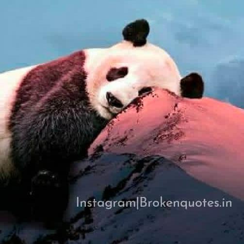 Broken Heart Confessions💔 Whatsapp Group Link | Groupsor