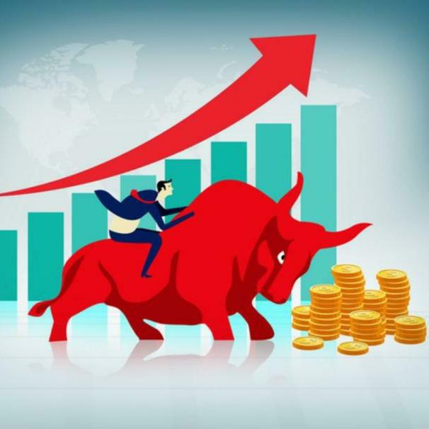 𝙏𝙃𝙀 𝙎𝙏𝙊𝘾𝙆𝙎 𝘽𝙐𝙇𝙇 ⭐⭐