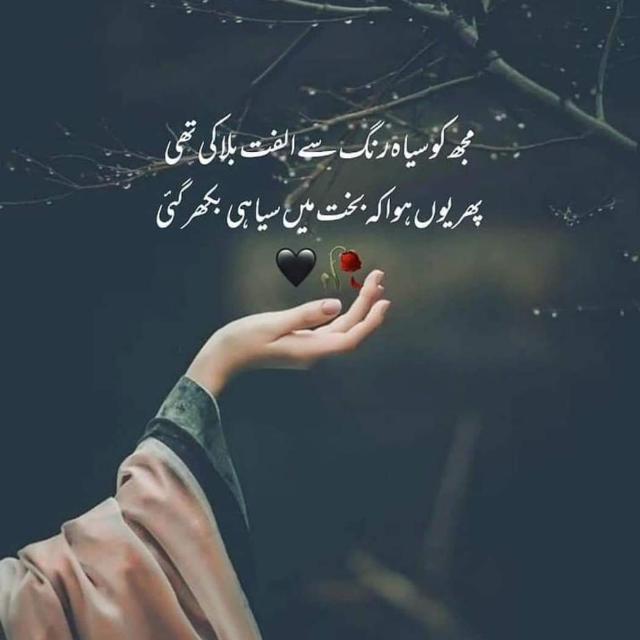 Join Broken heart poetry💔 Whatsapp Group Link | Groupsor
