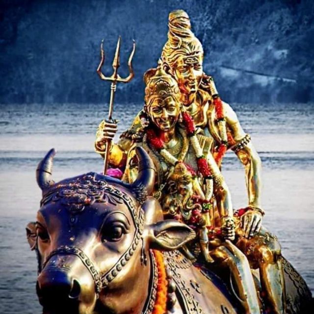 Join Study groups India latest news Whatsapp Group Link | Groupsor