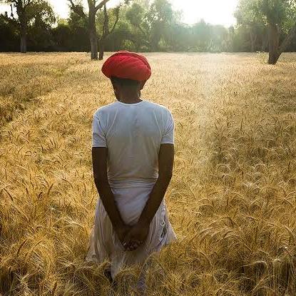 Rajasthan Farmers🌳🌴🌾💐✅ Whatsapp Group Join Link