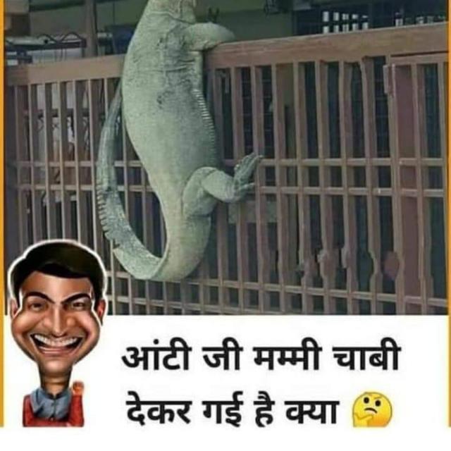 Fun group desi pahadi baba WhatsApp Group in Comedy/Funny, India, English group/channel image