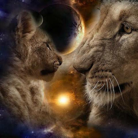 Animal Planet Whatsapp Group Link | Groupsor