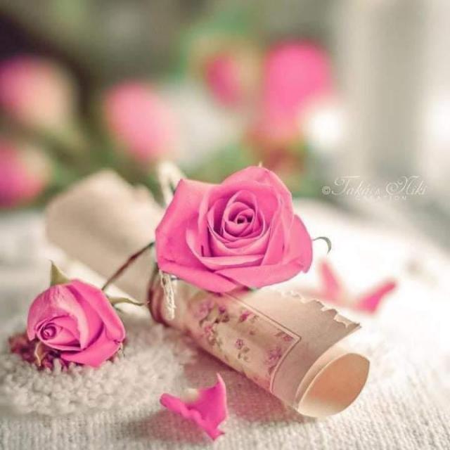 ᭕◉ˢⁱˡˢˡᵃِ♤♧؏ِـᷭشͪــ᩺ـͥــق◉᭕✿* WhatsApp Group