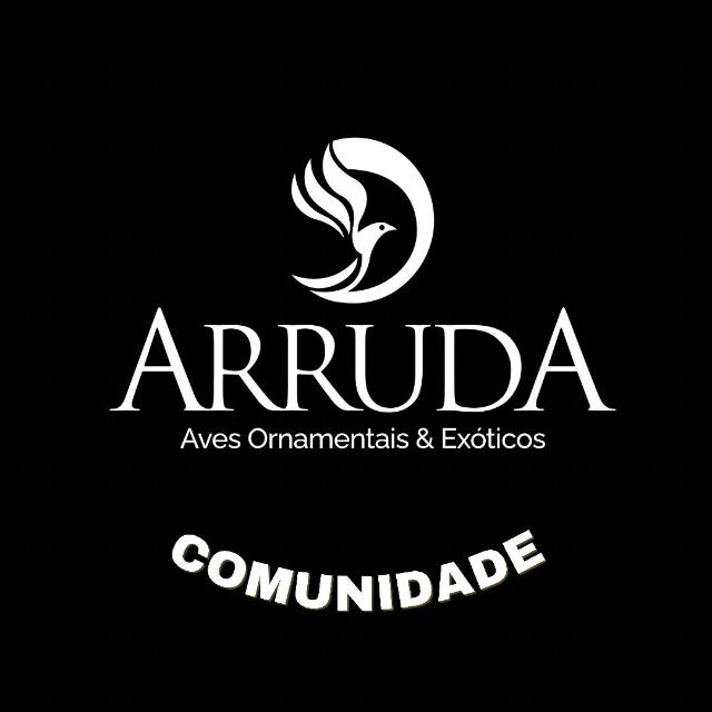 Arruda Aves 2 Brasil