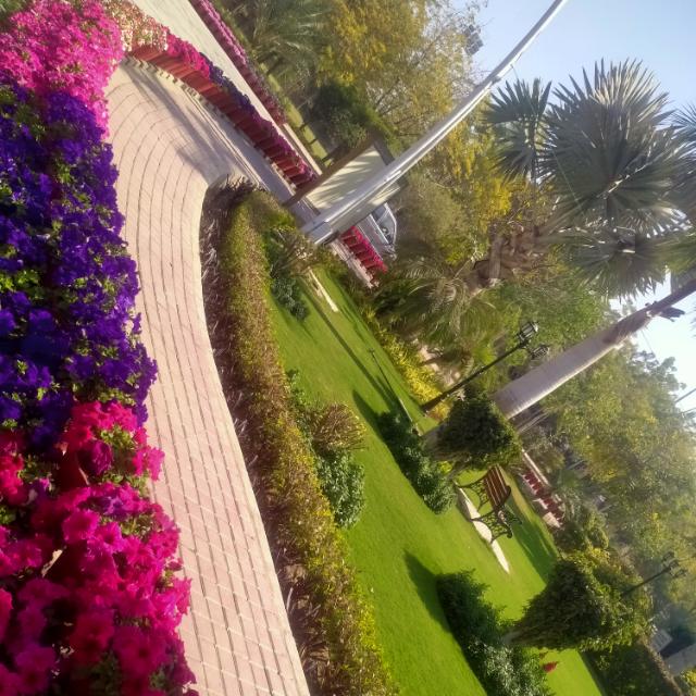 Entertainment world 🌍