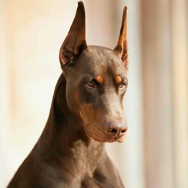 Join Na rubbish we Dey do for here Whatsapp Group Link | Groupsor