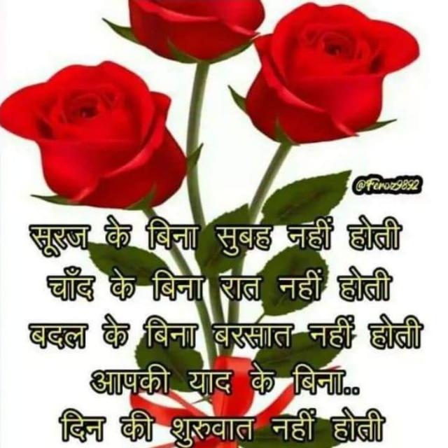 Follow 4 follow  WhatsApp Group link profile