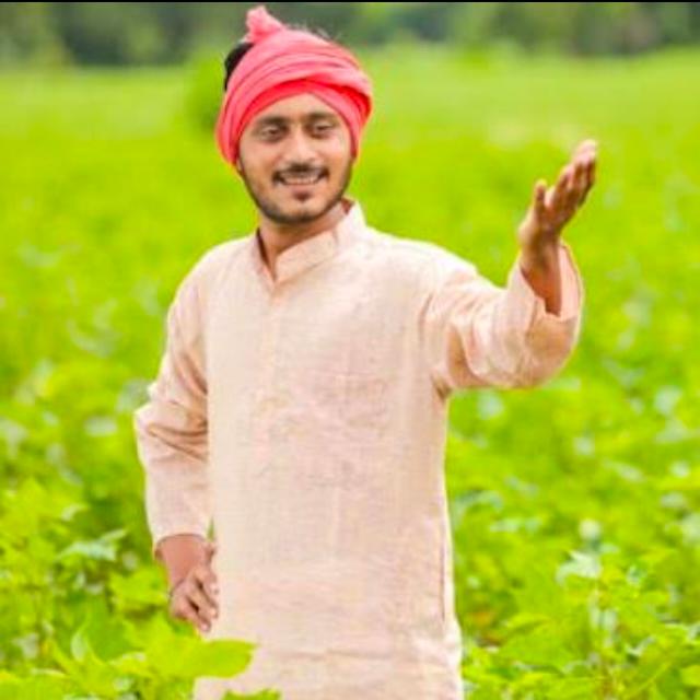 माझा शेतकरी 🌳🌱01 WhatsApp Group in Business/Advertising/Marketing, India, Marathi group/channel image