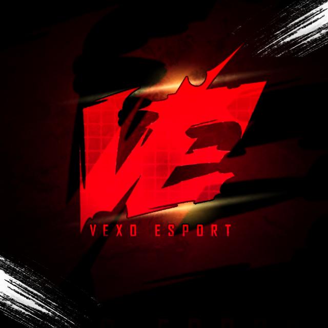 VEXO PAID SCRIMS ¹ WhatsApp Group