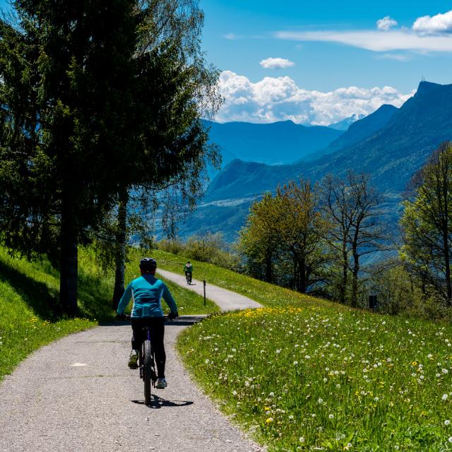 Trip To Mountain Whatsapp Group Join Link