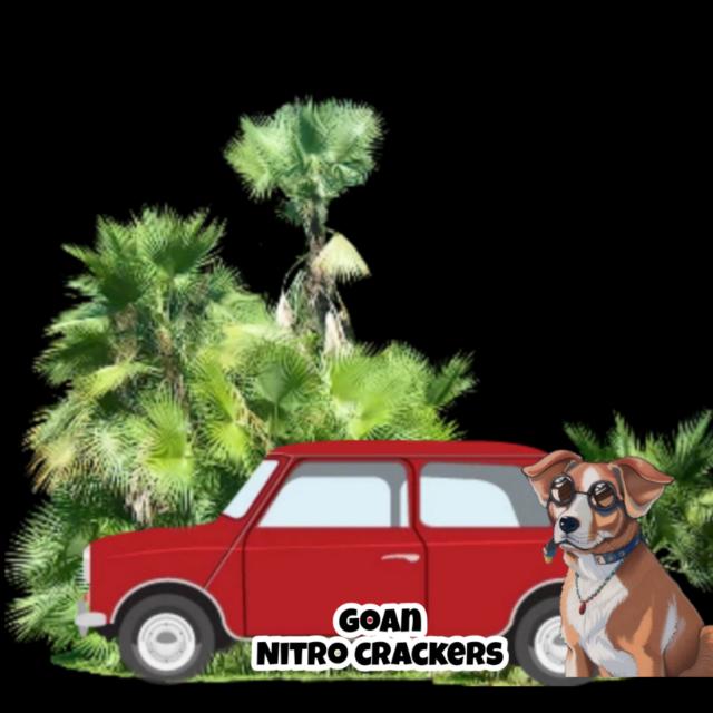 Goan_nitro_crackers WhatsApp Group link profile