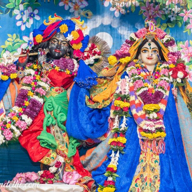 Iskon temple group 🙏🙏 WhatsApp Group in Spiritual/Devotional, India, English group/channel image