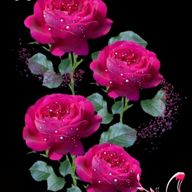 🌹🌹Only Nepal Lover🌹🌹 Whatsapp Group Join Link