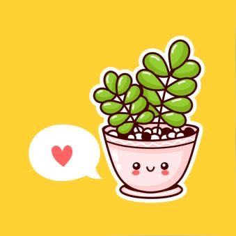 chat.whatsapp.com