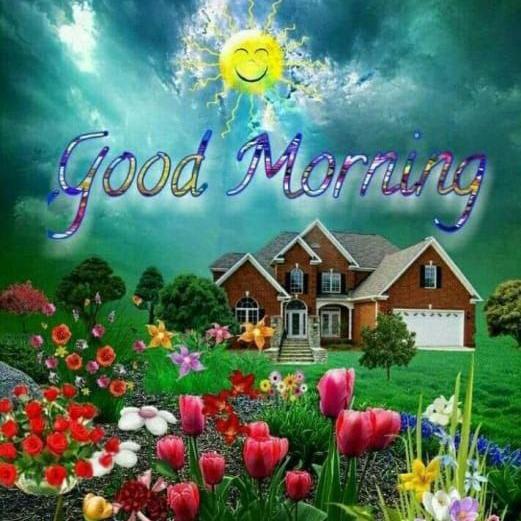 Forex all market killer WhatsApp Group