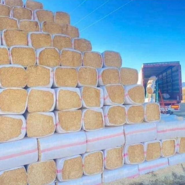 KIZILTEPE SAMAN YÜKLEME