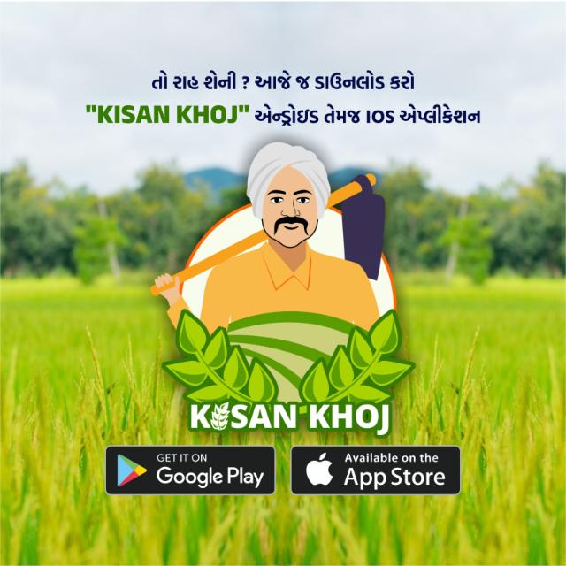 KISHAN KHOJ 026 WhatsApp Group