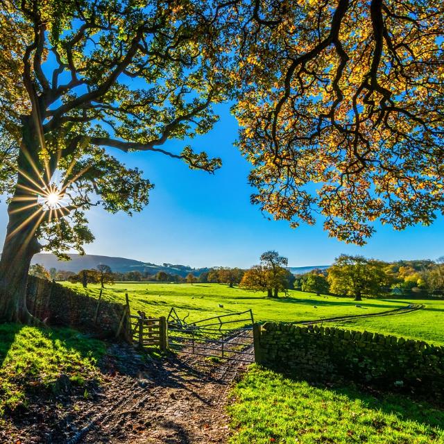 Agriculture Only 🌱 Global Group Whatsapp Group Join Link