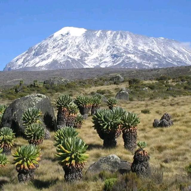 🌴Tour🏖️ quider🌲 WhatsApp Group in Travel/Local/Place, United States, English group/channel image
