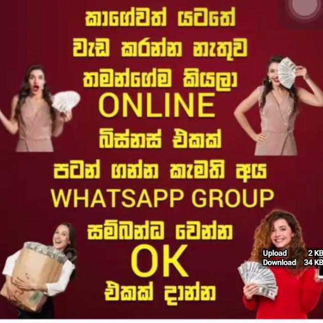 SIGNUP WINWINLK online Bisnuss 🇱🇰 WhatsApp group in Business/Advertising/Marketing, Sri Lanka, Sinhala group/channel image