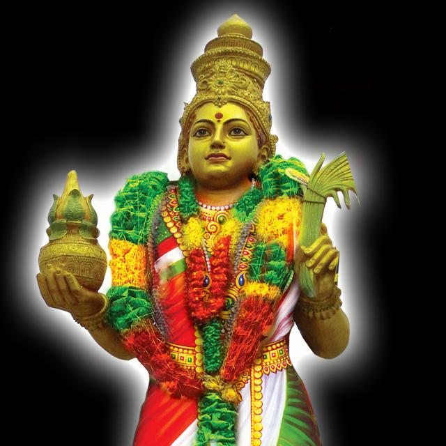 Andhra Pradesh youth 1 ఆంధ్ర ప్రదేశ్  WhatsApp Group in Jobs/Career, India, Telugu group/channel image