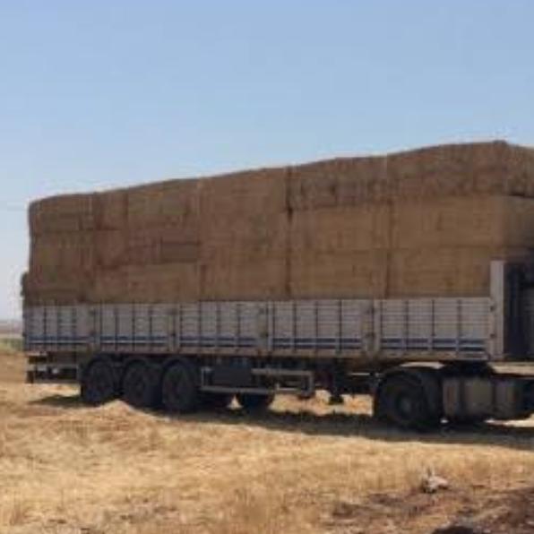 SAMANCILAR GRUBU 🚛🚛