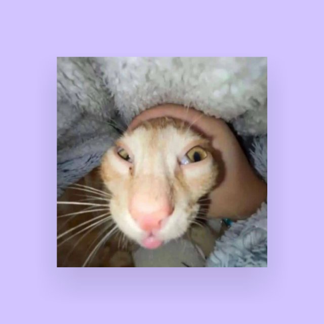 Avatar de Dinámicas YouTube