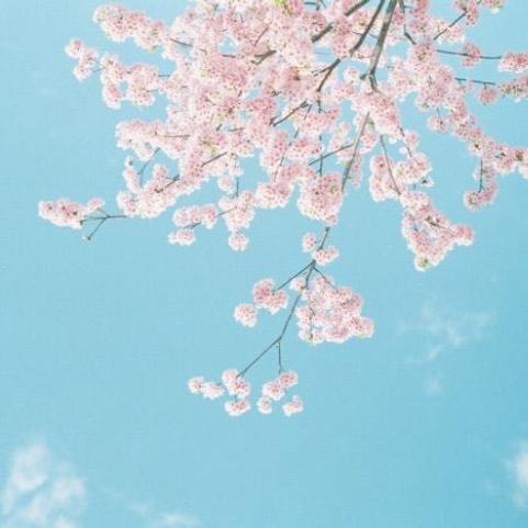 ☆ ▄︻デY̷ₒ̷ᵤ̷ᵣ̷ ̷ₙ̷ₐ̷ₘ̷ₑ̷══━一☆༻ᴮᵒᵗ☯︎ ⷨ❣ WhatsApp Group links ☆ ▄︻デY̷ₒ̷ᵤ̷ᵣ̷ ̷ₙ̷ₐ̷ₘ̷ₑ̷══━一☆༻ᴮᵒᵗ☯︎ ⷨ❣ WhatsApp Group link