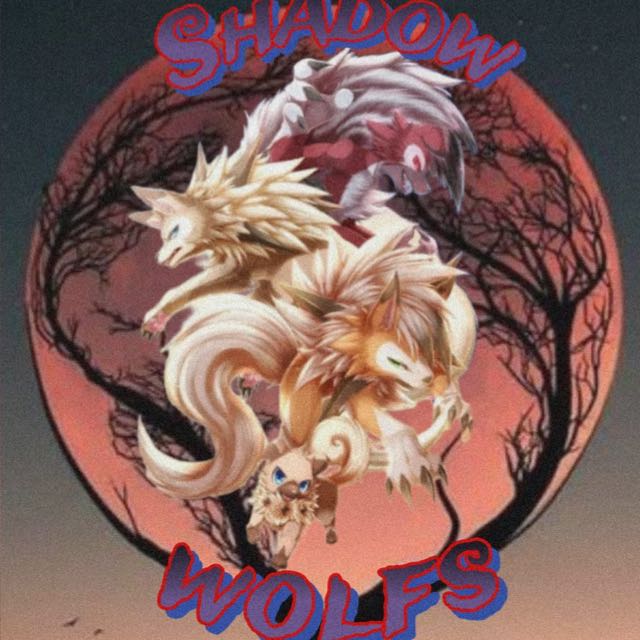 Avatar de ⚫️🐺Shadow Wolves🐺⚫️