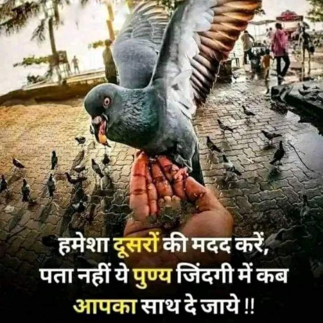 ⚔️👑REAL TRUTH🙏⚔️ WhatsApp Group link profile