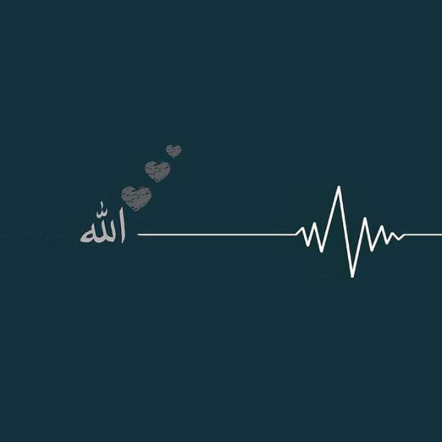 Cricket and entertainment 🏏🎥