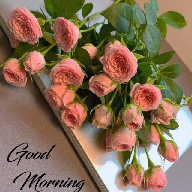 Work from home WhatsApp Group in Business/Advertising/Marketing, United Arab Emirates, Urdu group/channel image