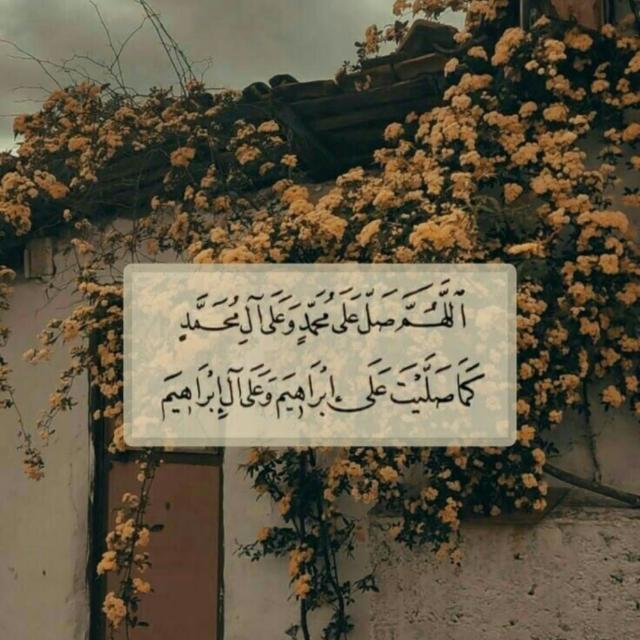 الإسلام✨🤍