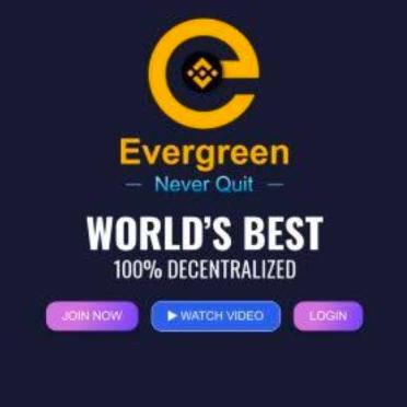 Evergreen BNB Concept WhatsApp Group links Evergreen BNB Concept WhatsApp Group link