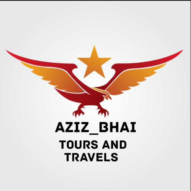 🇮🇳AZIZ_BHAI_🇮🇳 GROUP 👊 Group's logo