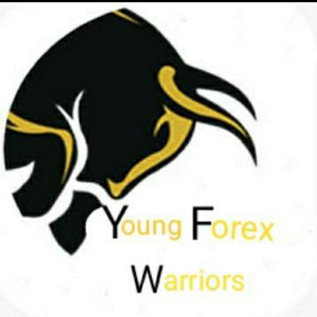 Young forex Warriors Whatsapp Group Join Link