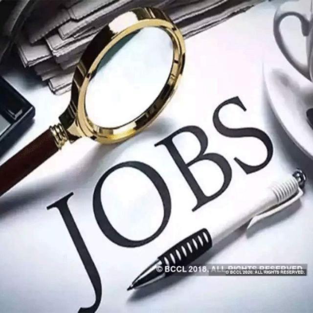 Join All jobs for INDIA -🇮🇳 Whatsapp Group Link | Groupsor