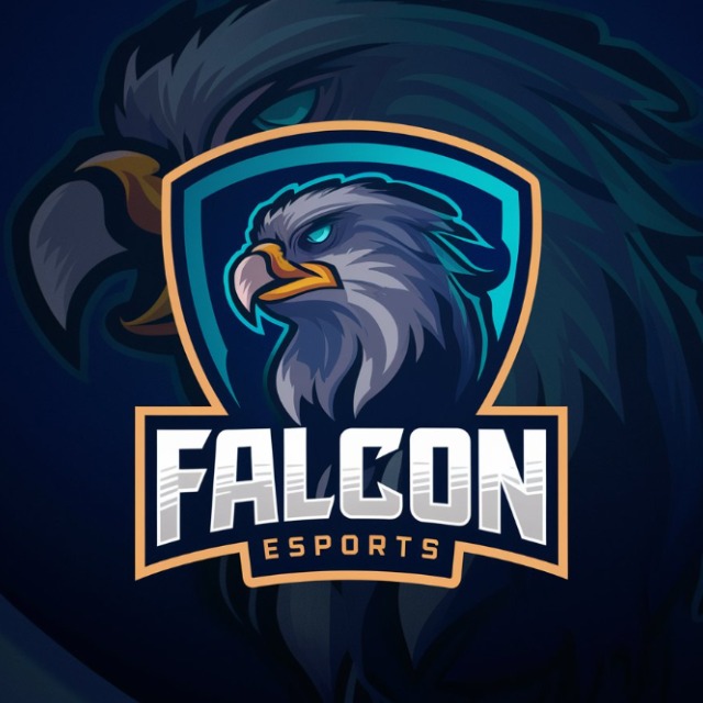 Join Falcon Esports (Tier 2) Customs Whatsapp Group Link | Groupsor