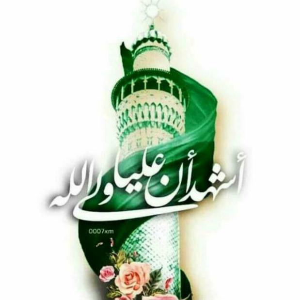 🌹خادمین سکونِ قلبِ مظلوم امام حُسین علیہ السلام_واڑہ بی بی سلام اللّٰه علیہا🌹 🌹 ھُو یا امام ضامن ع🌹