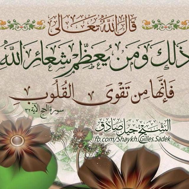 GB Optes Marga 17 WhatsApp Group cover