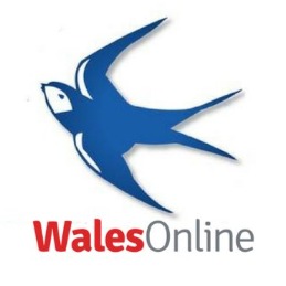 Cardiff City News Whatsapp Group Join Link