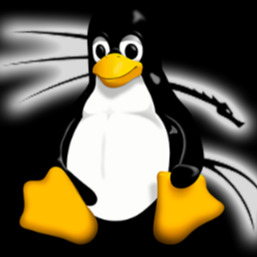 Suporte Linux 2
