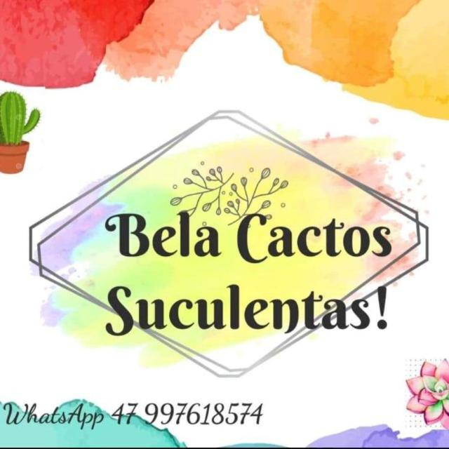 LILIAN! BELA CACTUS SUCULENTAS 🥰