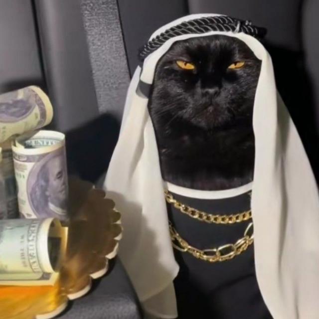 TIKTOK services available 🫀💫