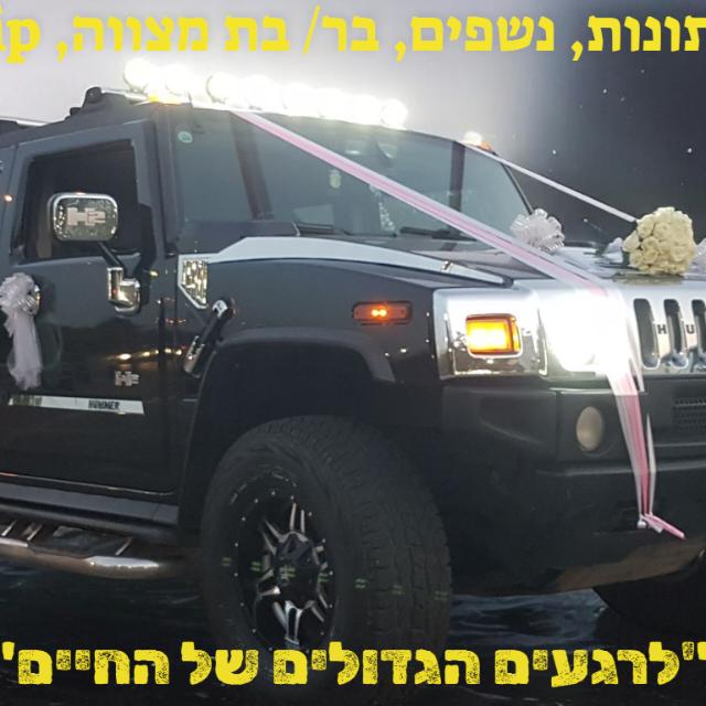 האמר פאר לימוזין