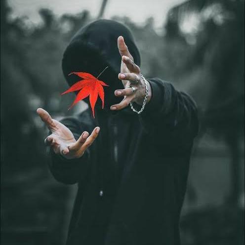 •]••´º´•» Ļσⓥ𝕖 𝐩Ø𝐞т𝓡ץ 🥀 «•´º´••[• Whatsapp Group Link | Groupsor