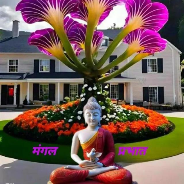 Khaiwal WhatsApp Group cover