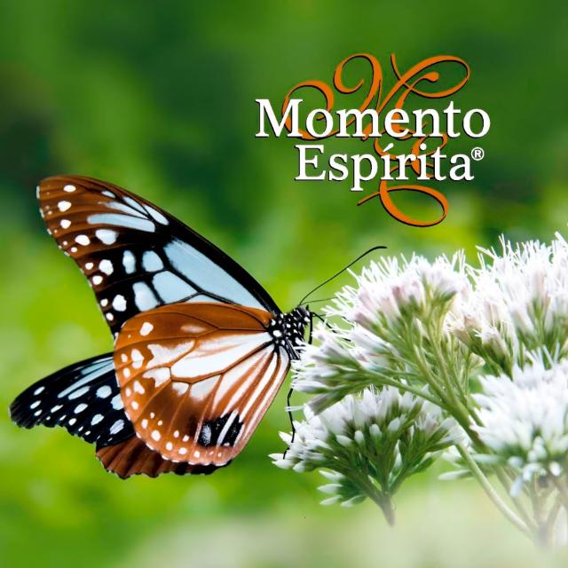 Momento Espírita 🙌📖🌹